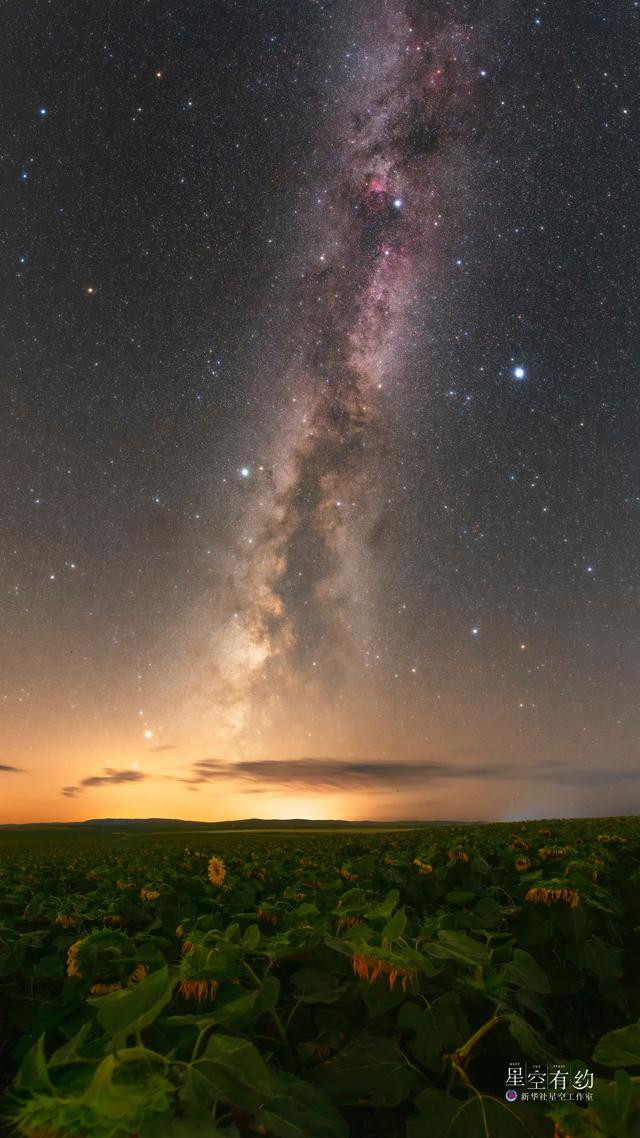 星空4安卓版星空app官网